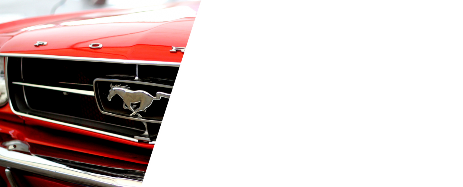 Startseite CarsUnlimited South Germany